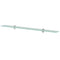 vidaXL Floating Shelf Glass 100x10 cm 8 mm