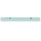 vidaXL Floating Shelf Glass 100x10 cm 8 mm