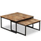 vidaXL Nesting Coffee Table Set 2 Pieces Solid Reclaimed Teak