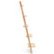 vidaXL Ladder Wall Shelf Cedar Wood 41.5x30x176 cm
