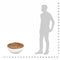 vidaXL Bowl Shaped Coffee Table Solid Reclaimed Wood 60x60x30 cm