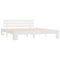 vidaXL Bed Frame without Mattress White 160x200cm Solid Wood Pine
