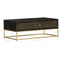vidaXL Coffee Table Black and Gold 90x50x35 cm Solid Mango Wood