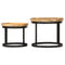 vidaXL Round Side Tables 2 pcs Solid Mango Wood and Steel