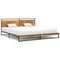 vidaXL Bed Frame without Mattress Metal 200x200 cm