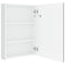 vidaXL LED Bathroom Mirror Cabinet Shining White 50x13x70 cm