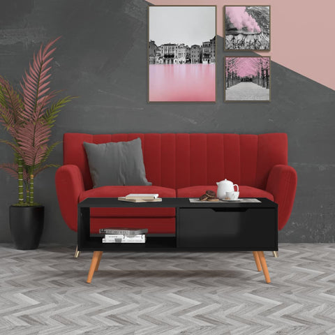 vidaXL Coffee Table High Gloss Black 100x49.5x43 cm Engineered Wood