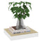 vidaXL Floating Wall Shelf Oak and White 23x23.5x3.8 cm MDF