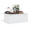 vidaXL Coffee Table White 80x80x31 cm Engineered Wood