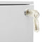 vidaXL Mobile File Cabinet Light Grey 39x45x67 cm Steel