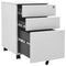 vidaXL Mobile File Cabinet Light Grey 39x45x60 cm Steel