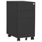 vidaXL Mobile File Cabinet Anthracite 30x45x59 cm Steel