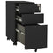 vidaXL Mobile File Cabinet Anthracite 30x45x59 cm Steel