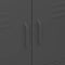 vidaXL Storage Cabinet Anthracite 80x35x101.5 cm Steel