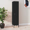 vidaXL Locker Cabinet Black 35x46x180 cm Steel