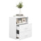 vidaXL Bed Cabinets 2 pcs White 50x32x60 cm