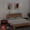 vidaXL Bedside Cabinets 2 pcs with LEDs Black 60x35x40 cm