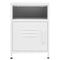 vidaXL Nightstands 2 pcs White 35x35x51 cm Steel