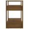 vidaXL Book Cabinet/Room Divider Honey Brown 60x35x57 cm Solid Wood