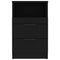 vidaXL Bedside Cabinets 2 pcs Black Engineered Wood