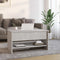 vidaXL Coffee Table Concrete Grey 80x50x40 cm Engineered Wood