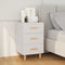 vidaXL Bedside Cabinet White 40x40x66 cm Engineered Wood