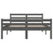 vidaXL Bed Frame without Mattress Grey Solid Wood 160x200 cm