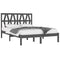 3104020 vidaXL Bed Frame without Mattress Grey Solid Wood 200x200 cm (810039+818642)