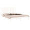 vidaXL Bed Frame without Mattress White Pine 160x200 cm Solid Wood