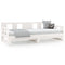 vidaXL Pull-out Day Bed without Mattress White Solid Wood Pine 2x cm