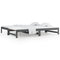 vidaXL Pull-out Day Bed without Mattress Grey 2x(90x200) cm