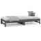 vidaXL Pull-out Day Bed without Mattress Grey 2x(90x200) cm