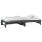 vidaXL Pull-out Day Bed without Mattress Grey 2x(90x200) cm