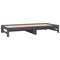 vidaXL Pull-out Day Bed without Mattress Grey 2x(90x200) cm