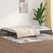 vidaXL Pull-out Day Bed without Mattress Grey 2x(90x200) cm