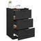 vidaXL Bedside Cabinets 2 pcs Black 40x36x65 cm