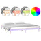 vidaXL LED Bed Frame without Mattress 160x200 cm Solid Wood