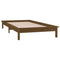 vidaXL LED Bed Frame without Mattress Honey Brown 75x190cm  Solid Wood