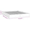 vidaXL Bed Frame without Mattress White 160x200 cm Solid Wood