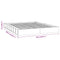 vidaXL Bed Frame without Mattress White 120x200 cm Solid Wood