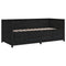 vidaXL Day Bed without Mattress Black 90x190 cm Single  Solid Wood Pine