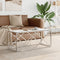 vidaXL Coffee Table 110x45x45 cm Stainless Steel and Glass