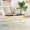 vidaXL Coffee Table 110x45x45 cm Stainless Steel and Glass