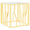 vidaXL Coffee Table Gold 50x50x50 cm Stainless Steel and Glass