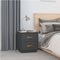 vidaXL Bedside Cabinets 2 pcs Grey 40x34x45 cm Solid Wood Pine