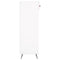 vidaXL Shoe Cabinet White 60x35x105 cm Engineered Wood