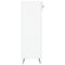 vidaXL Shoe Cabinet High Gloss White 60x35x105 cm Engineered Wood