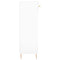 vidaXL Shoe Cabinet White 60x35x105 cm Engineered Wood