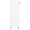 vidaXL Shoe Cabinet White 30x35x105 cm Engineered Wood
