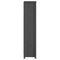 vidaXL Book Cabinet Grey 50x35x154 cm Solid Wood Pine